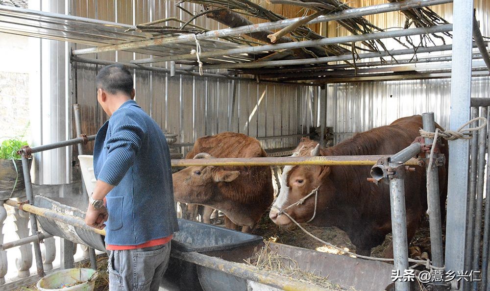 贵州银行兴农贷,贵州银行惠农金融好吗