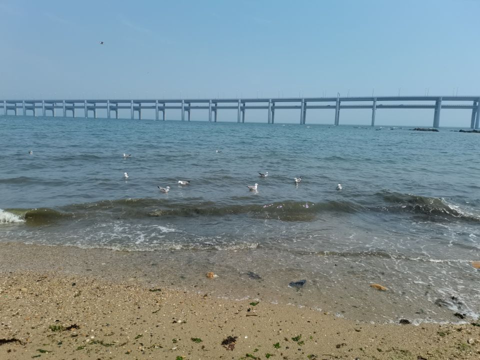 海边大连黑石礁,大连黑石礁到星海公园