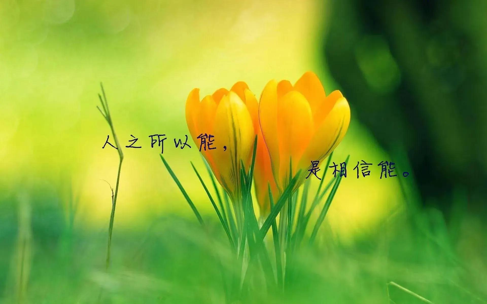 一个小伙创业的故事,一个年轻人创业的故事简短