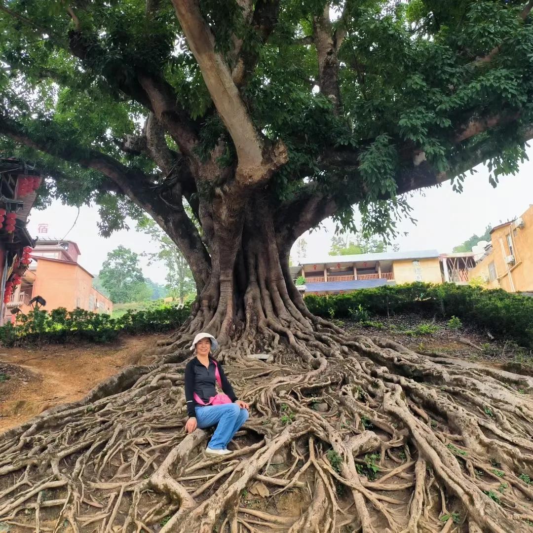 云南十天旅游,云南坝美旅游攻略