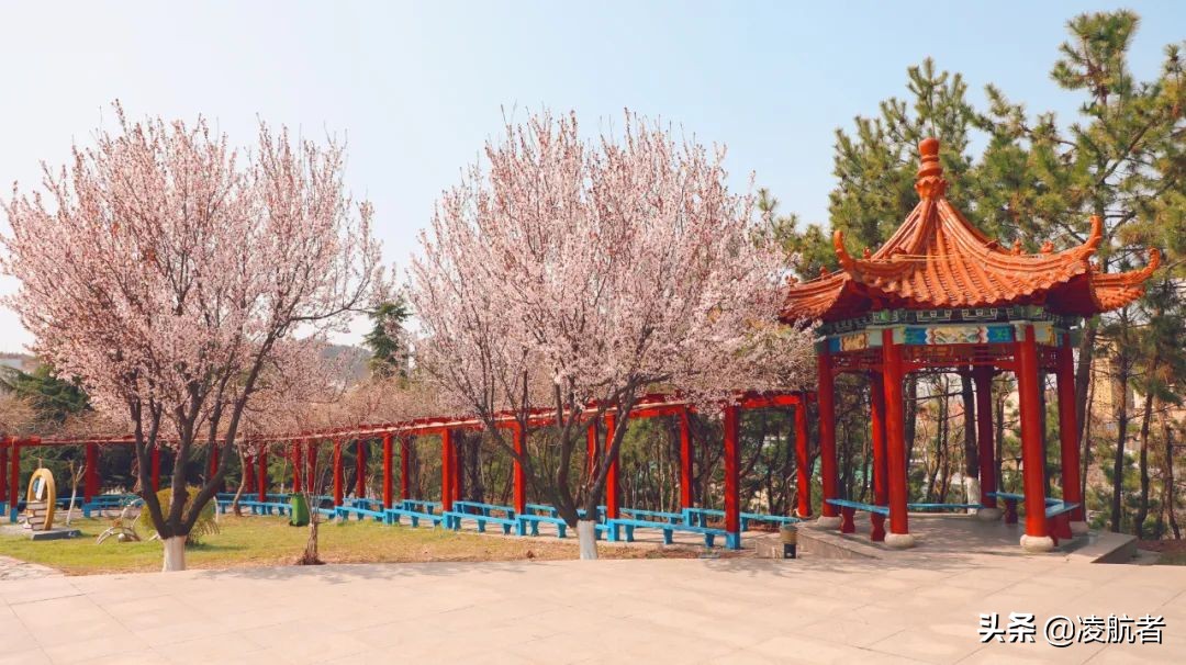 共赴春之约携手新征程,共赴春天之约携手砥砺前行