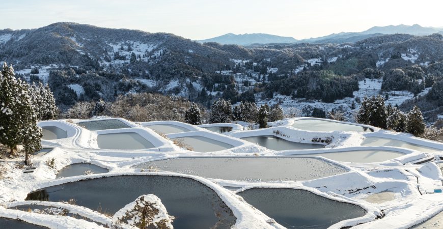 日本新潟饮食,日本新潟县长冈市好吃的