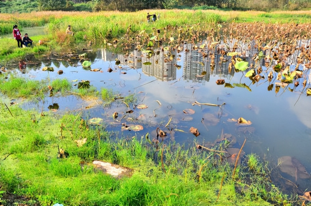 重德博学尚美笃行,重德博学勤勉尚美