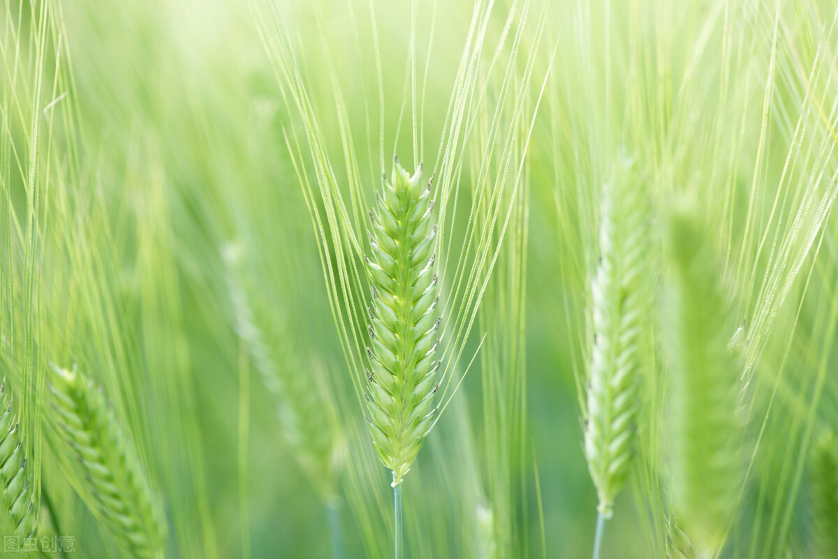 2020闰四月十九日子好吗,今日闰四月二十六有什么讲究