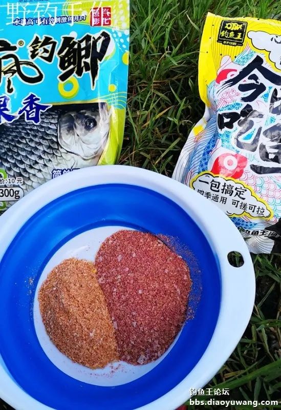 爽钓板鲫，今晚吃鱼