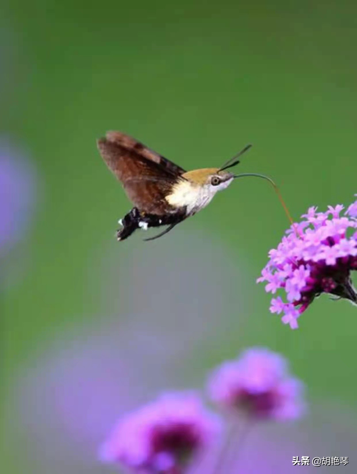 100个姓氏诗词,姓氏诗100句