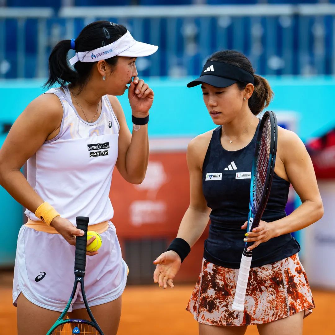 法网最新案件消息,法网的真实事件