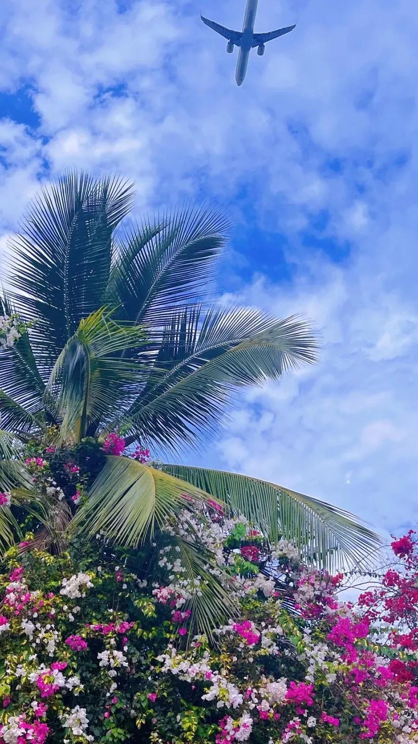 高清真人取图小程序,美人取图小程序