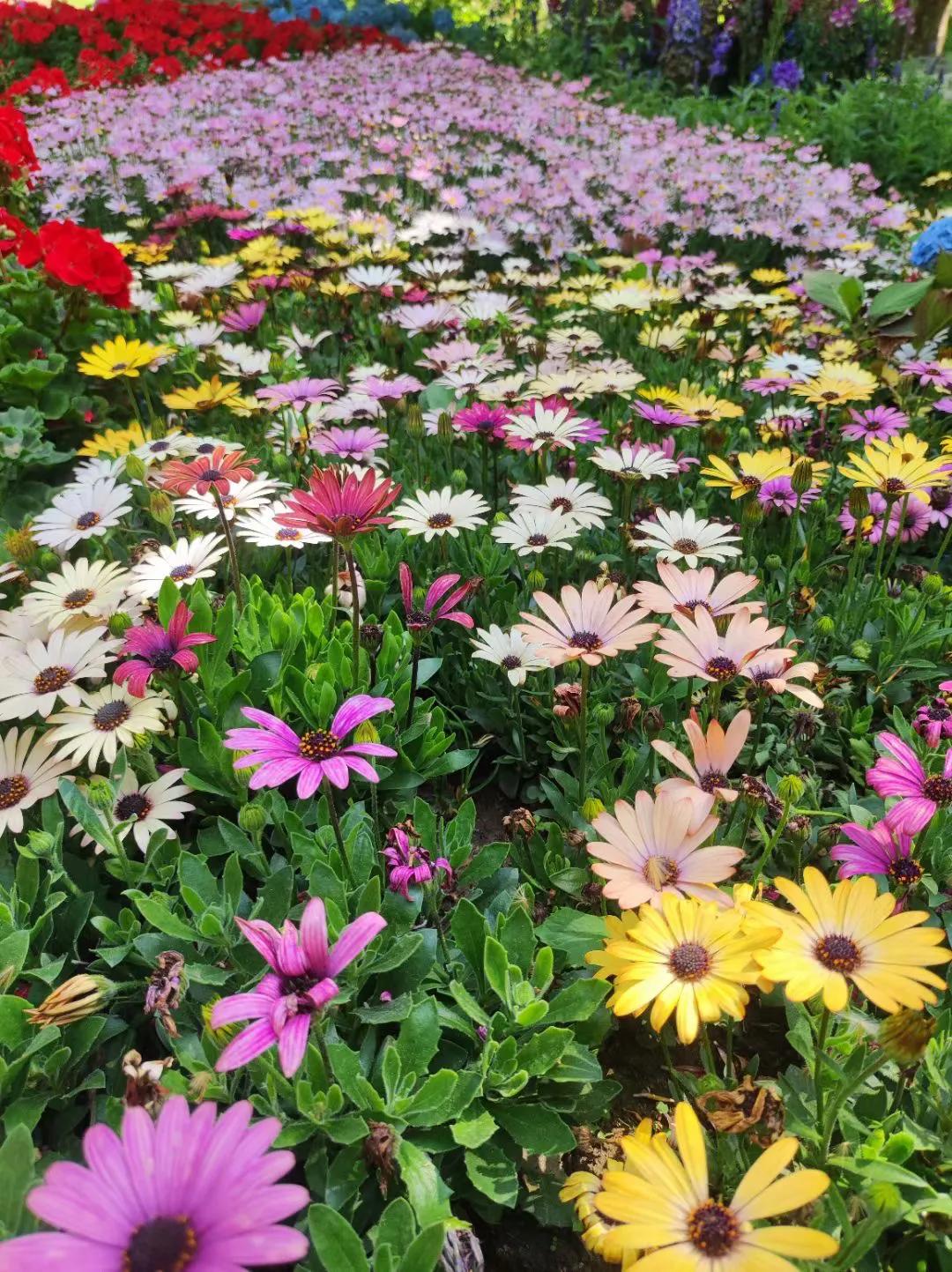 大连渤海旅游攻略最新,北国之春大连旅游攻略