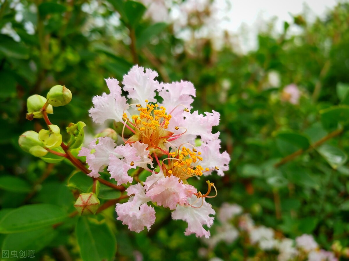天再热也要认真做饭,天再热也要吃火锅
