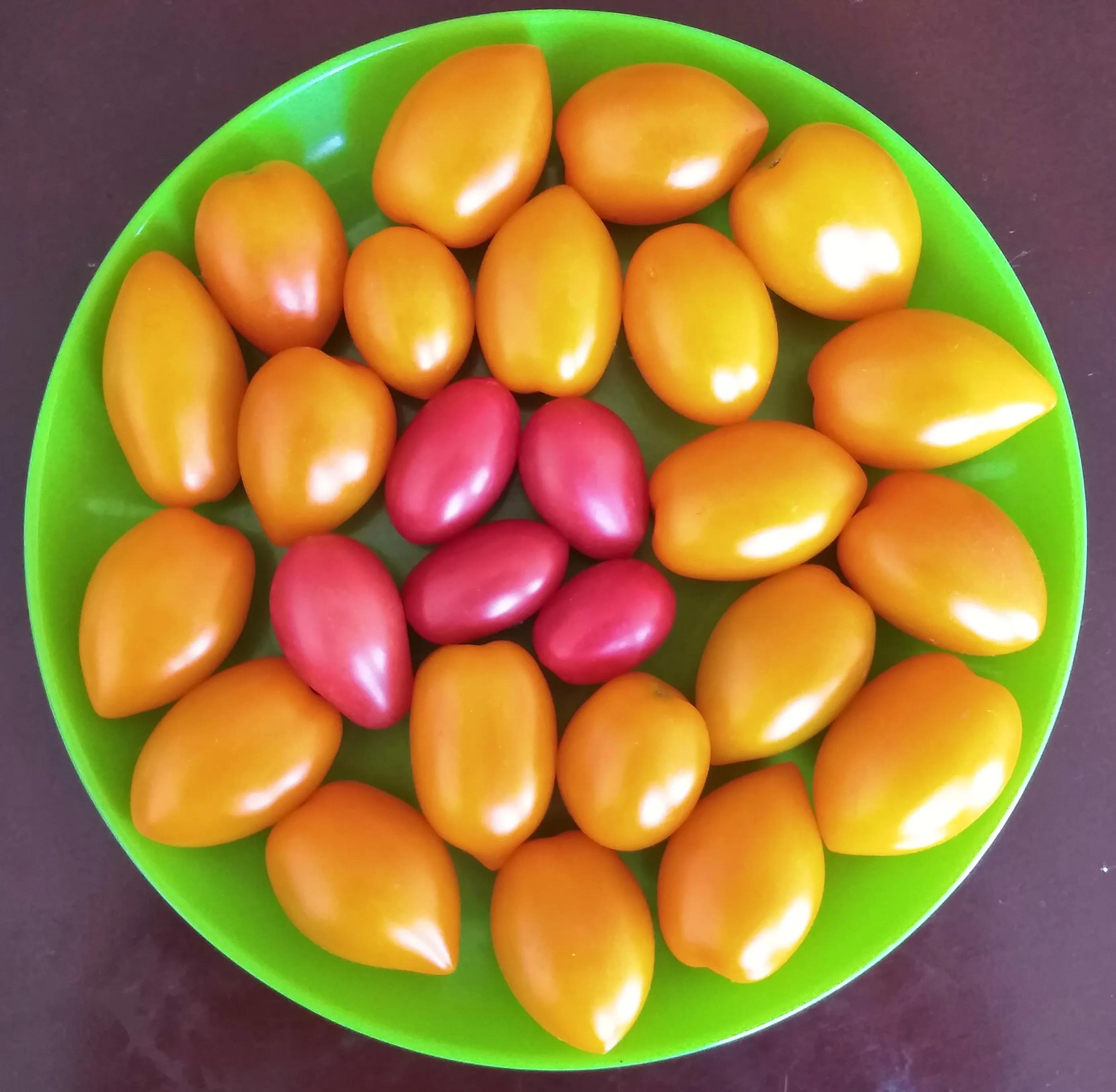 【奇人逸事】“力大”、“能干”的王二平