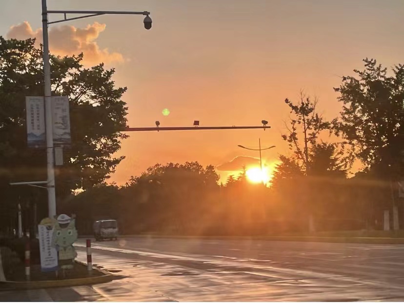 高中生物必修一全部知识点,高中生物必修一第四章第一节