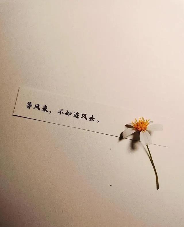 抖音很火的短句关于往事,抖音最火的句子唯美短句