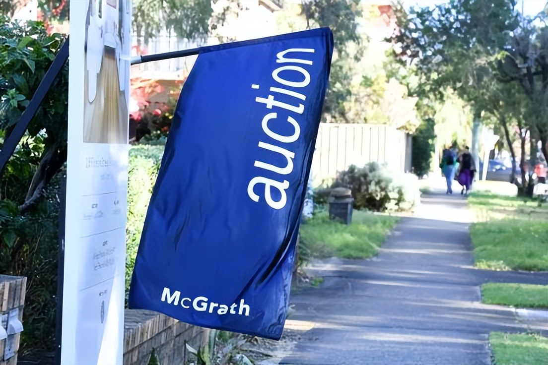 涓浗涔板娴峰鍦颁骇,鍐呭湴涔板閲嶈繑棣欐腐璞畢甯傚満