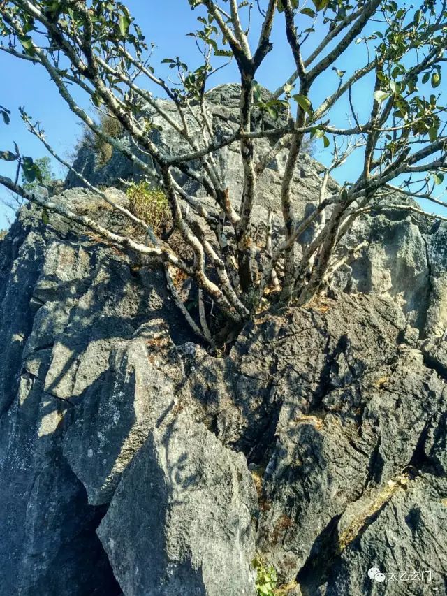 攀普洱天壁山之西门崖子：一日凌云出，群山齐失自高心