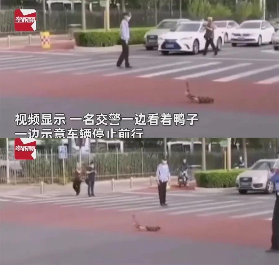 精工所有手表,精工电视手表t001