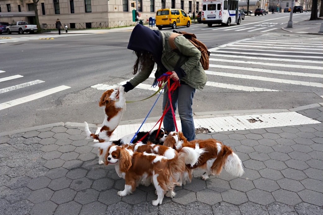 2023年加拿大最吃香的职业,2023加拿大紧缺职业列表