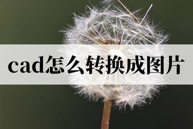 cad怎么导入图片并提取线条,cad图怎么转换成图片