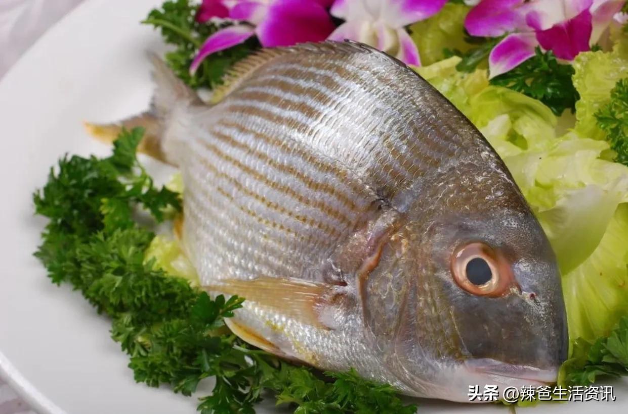 不会做海鱼？只要掌握这几点，便能轻松“驾驭”所有海鱼。请收藏