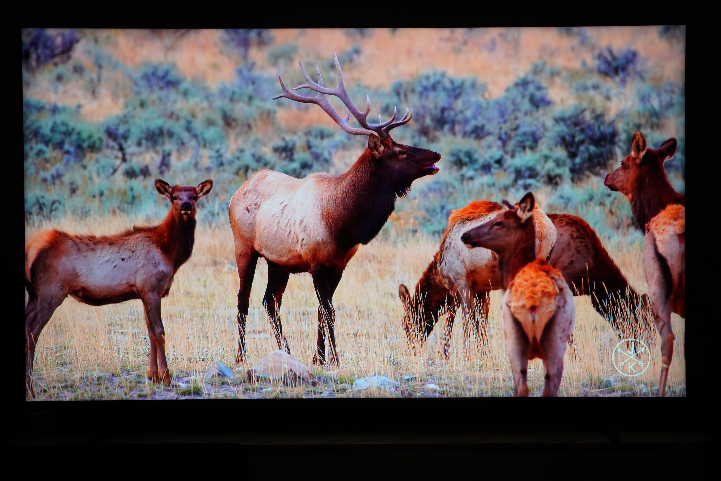 如何评价tclx11g电视,tclx11qd-miniled电视测评