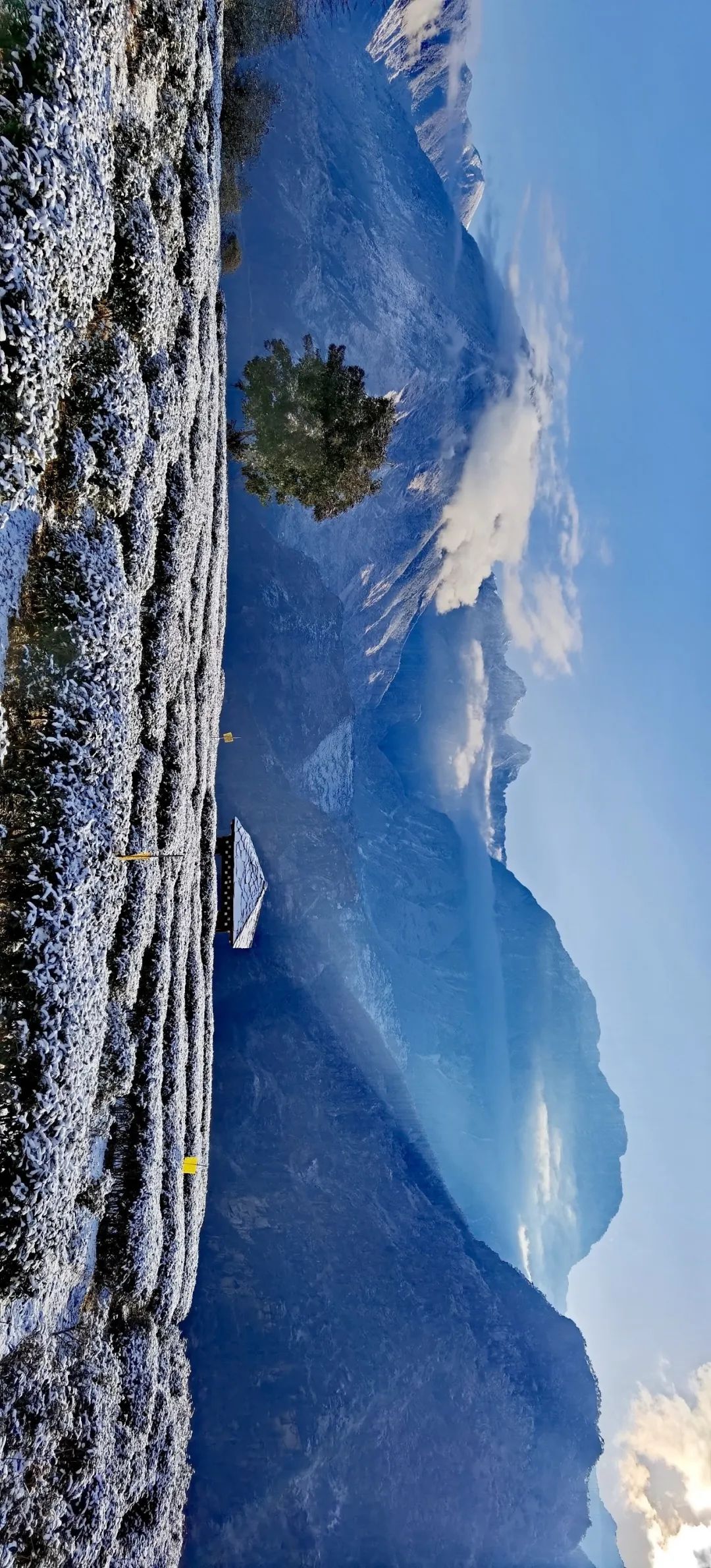 茶马古道滇茶古韵,茶马古道普洱烟茶