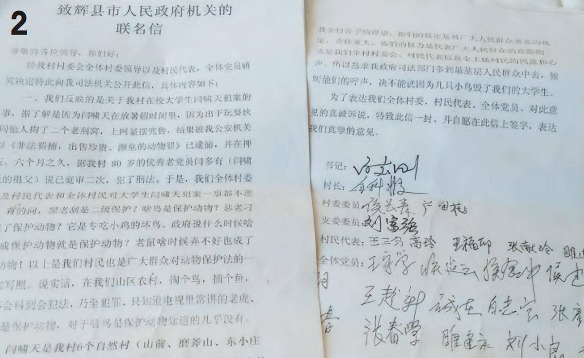 大学生掏鸟窝被判十年半的真相,大学生掏鸟窝被判10年徒刑后续