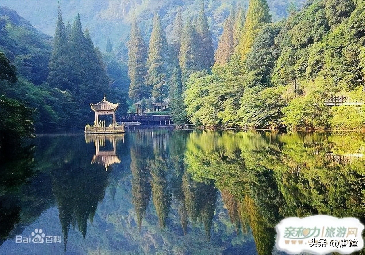 宁海县潘天寿,宁海名人潘天寿