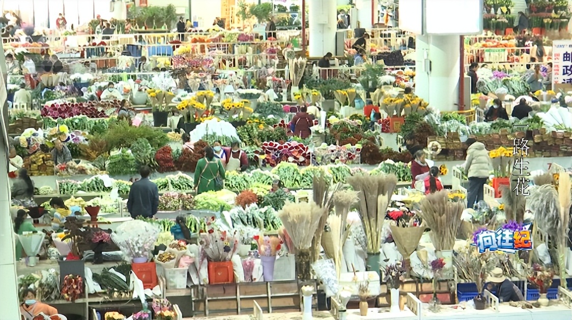 盘点人们都向往的工作,向往的工作和现实的工作