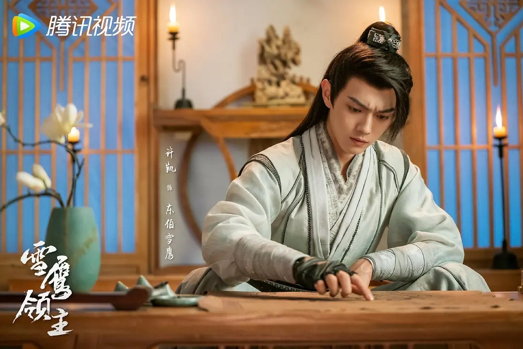 雪鹰领主好不好看,雪鹰领主真人版评价