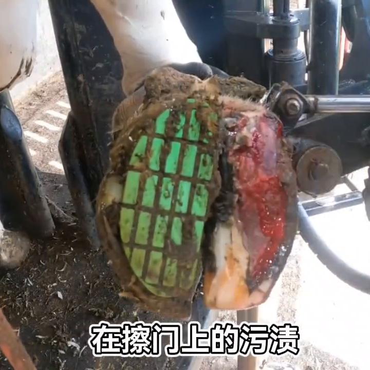 故事的我在职高门口#小说控