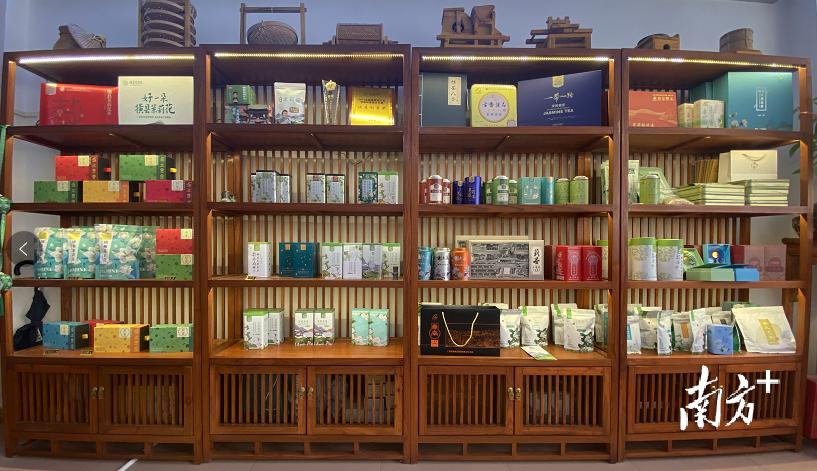 遇见横州：好一朵美丽的茉莉花｜中国十大茶王评比实地考察②