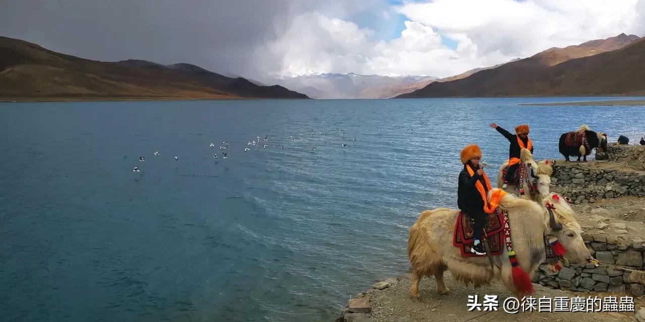 大学毕业证学位证就不发了,大学生毕业证还有学位证么