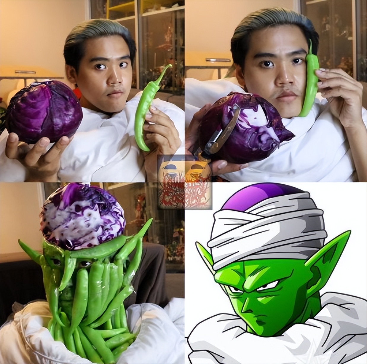 哈哈哈这些猫咪cospaly好怪，再看一眼，还是好怪