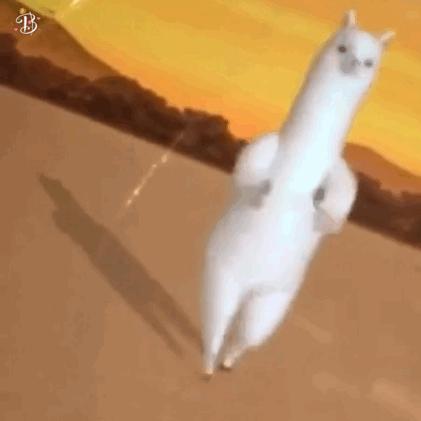 为什么有人打嗝反酸水,打嗝放响屁不臭是咋回事