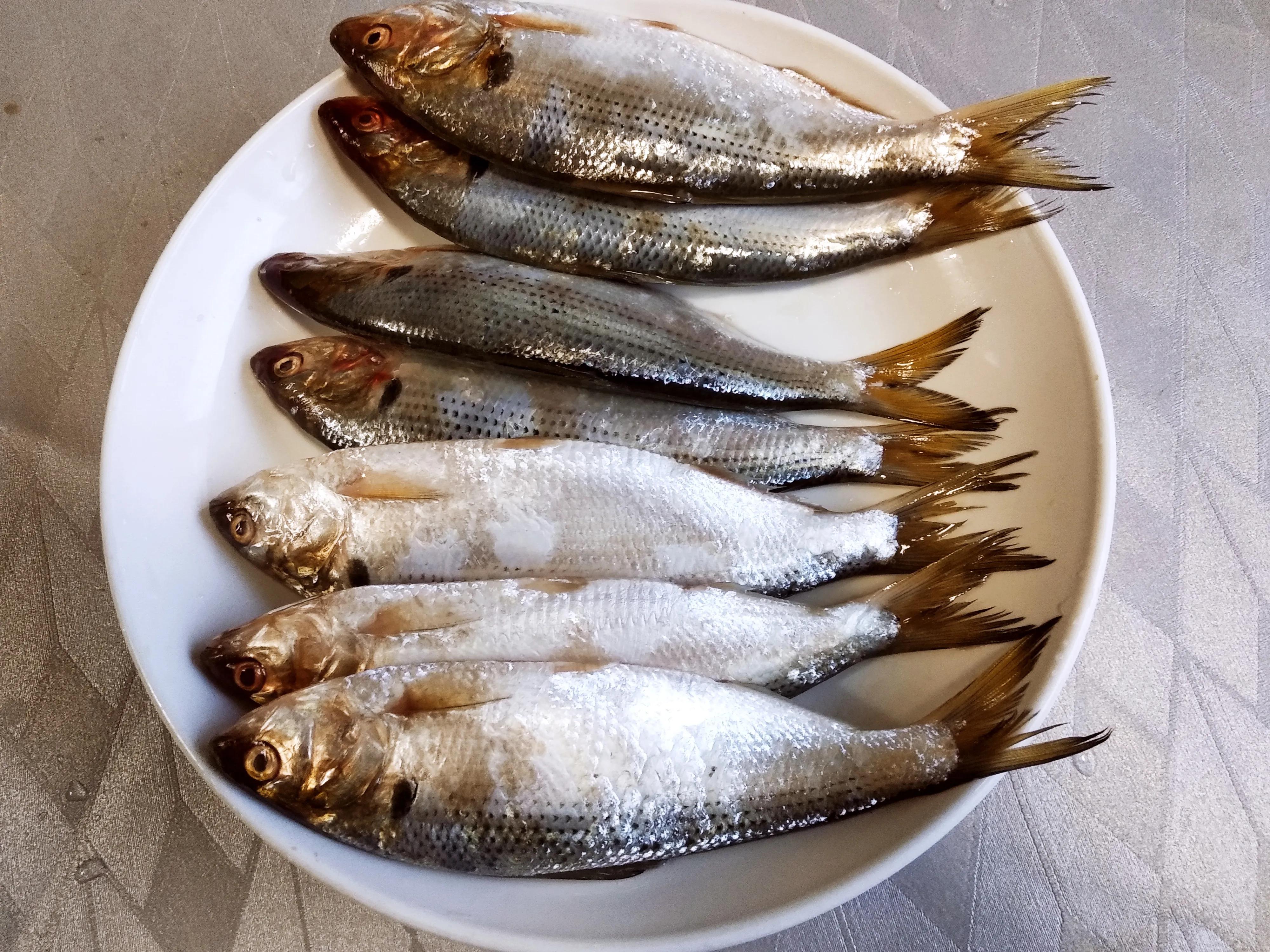 夏天吃海鱼，内行专挑这5种，肉鲜不腥无法养殖，摊主都夸是行家