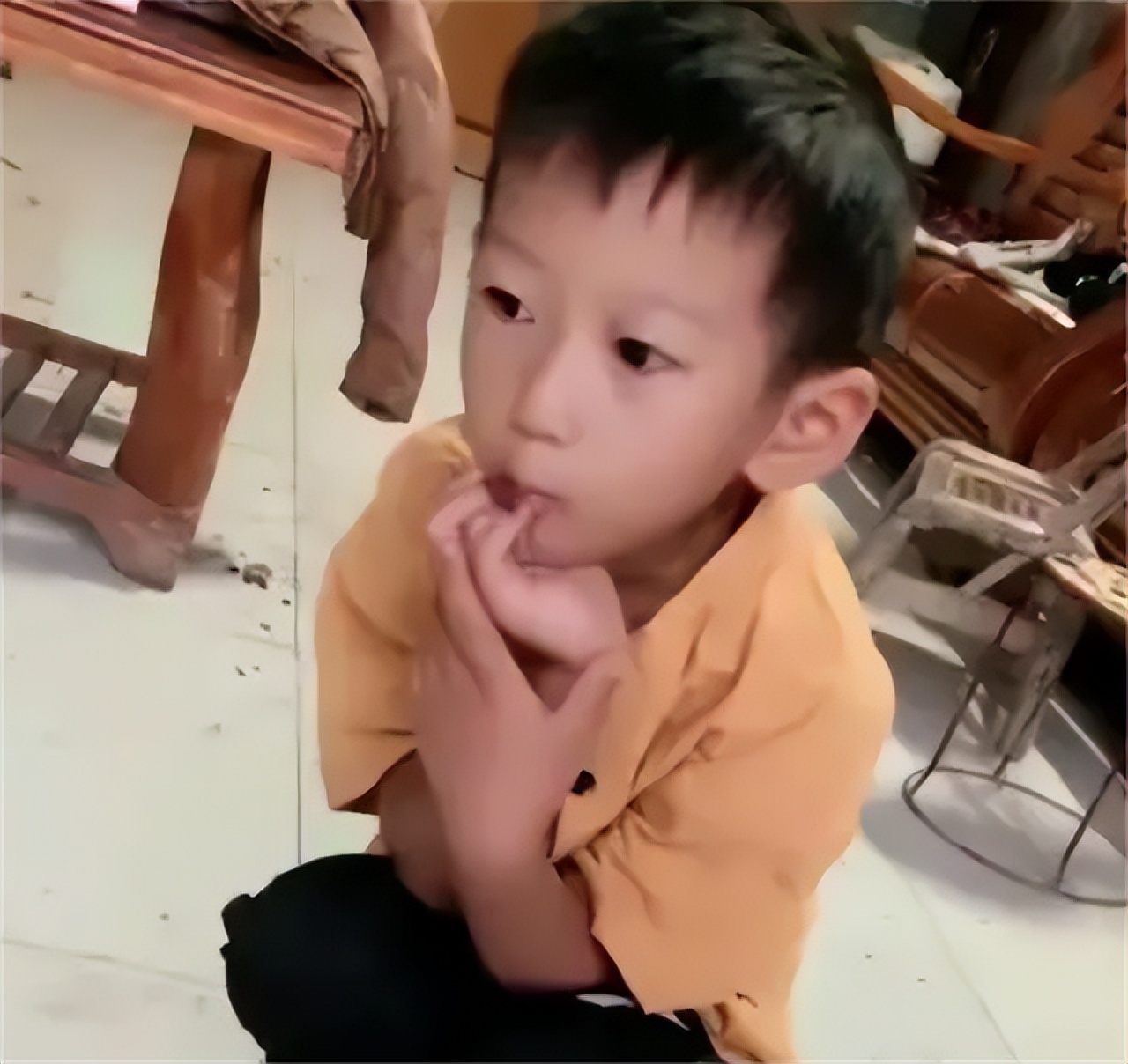 鸟脸妈妈坚持二胎,鸟脸妈妈不顾反对生二胎