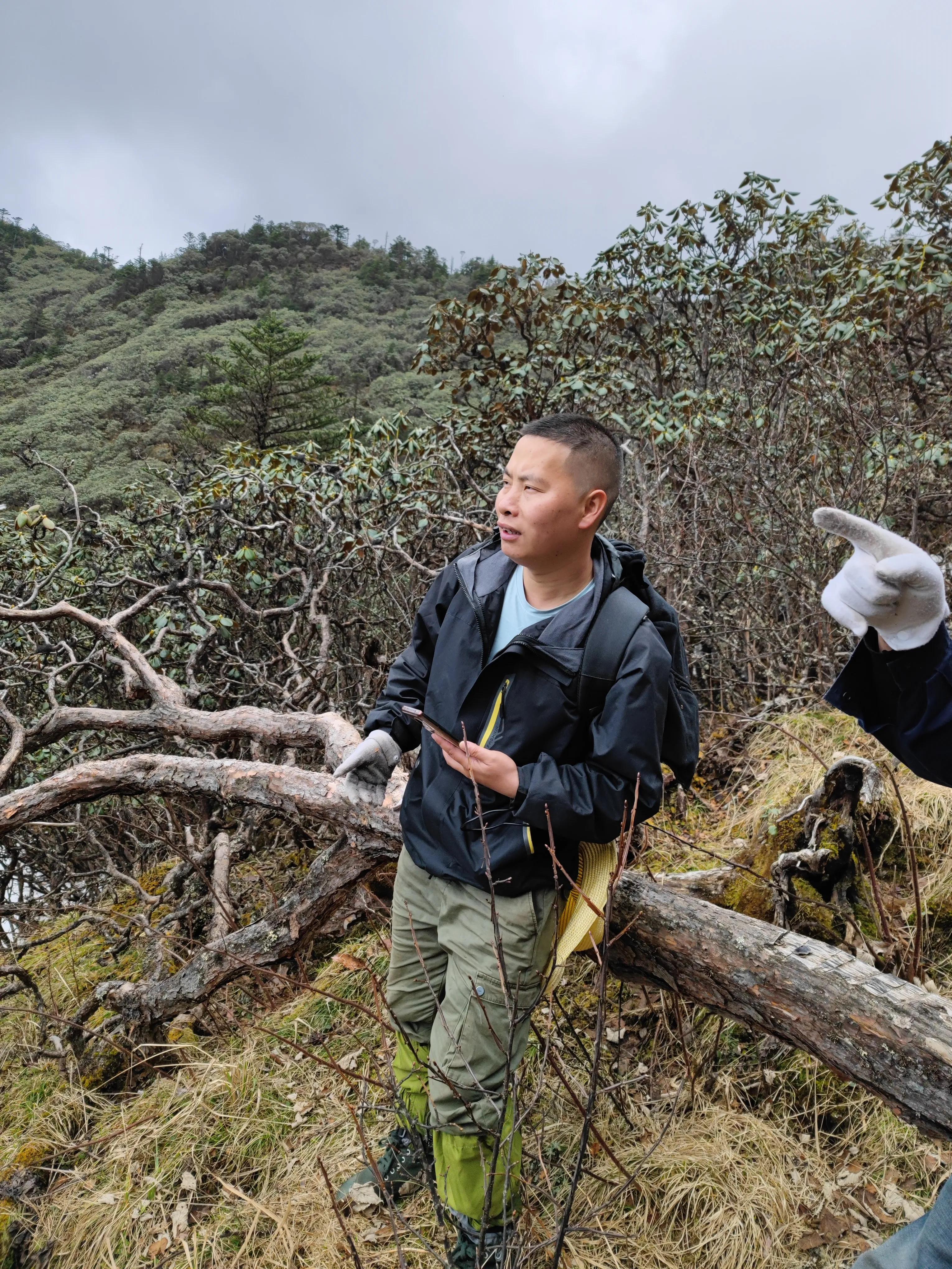 中国百慕大黑竹沟了解一下,中国百慕大黑竹沟近期气温