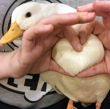 厦门2019年5月1日有没有限行,今日厦门哪些路段限行