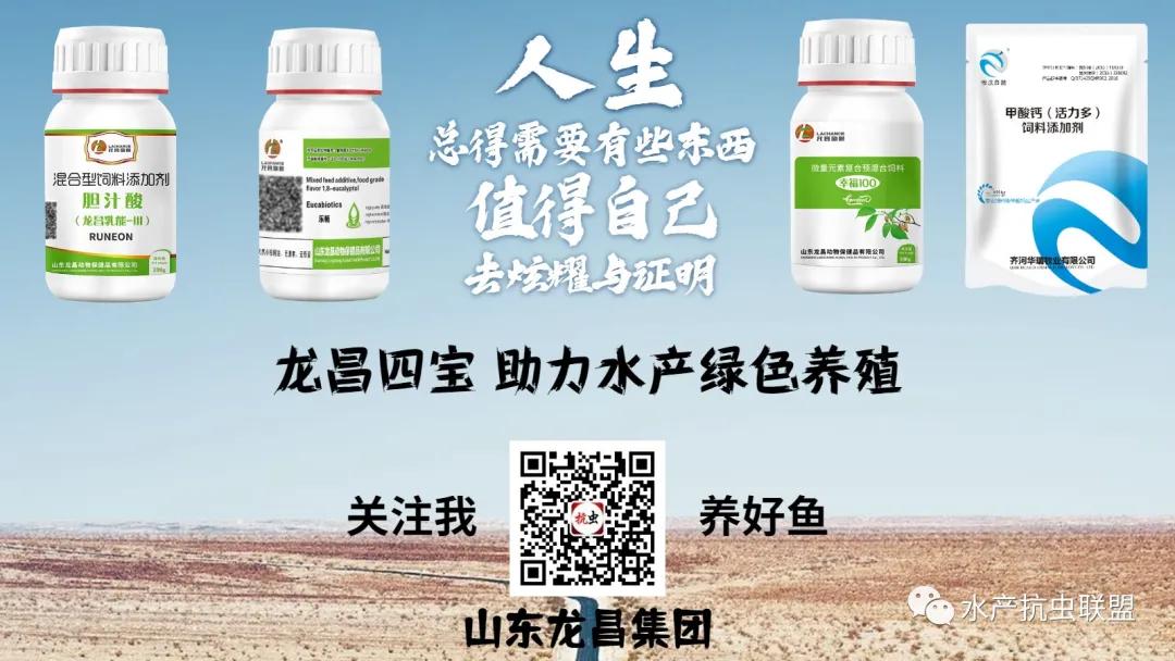 鲫鱼大红鳃治疗特效药,鲫鱼大红鳃治疗方法