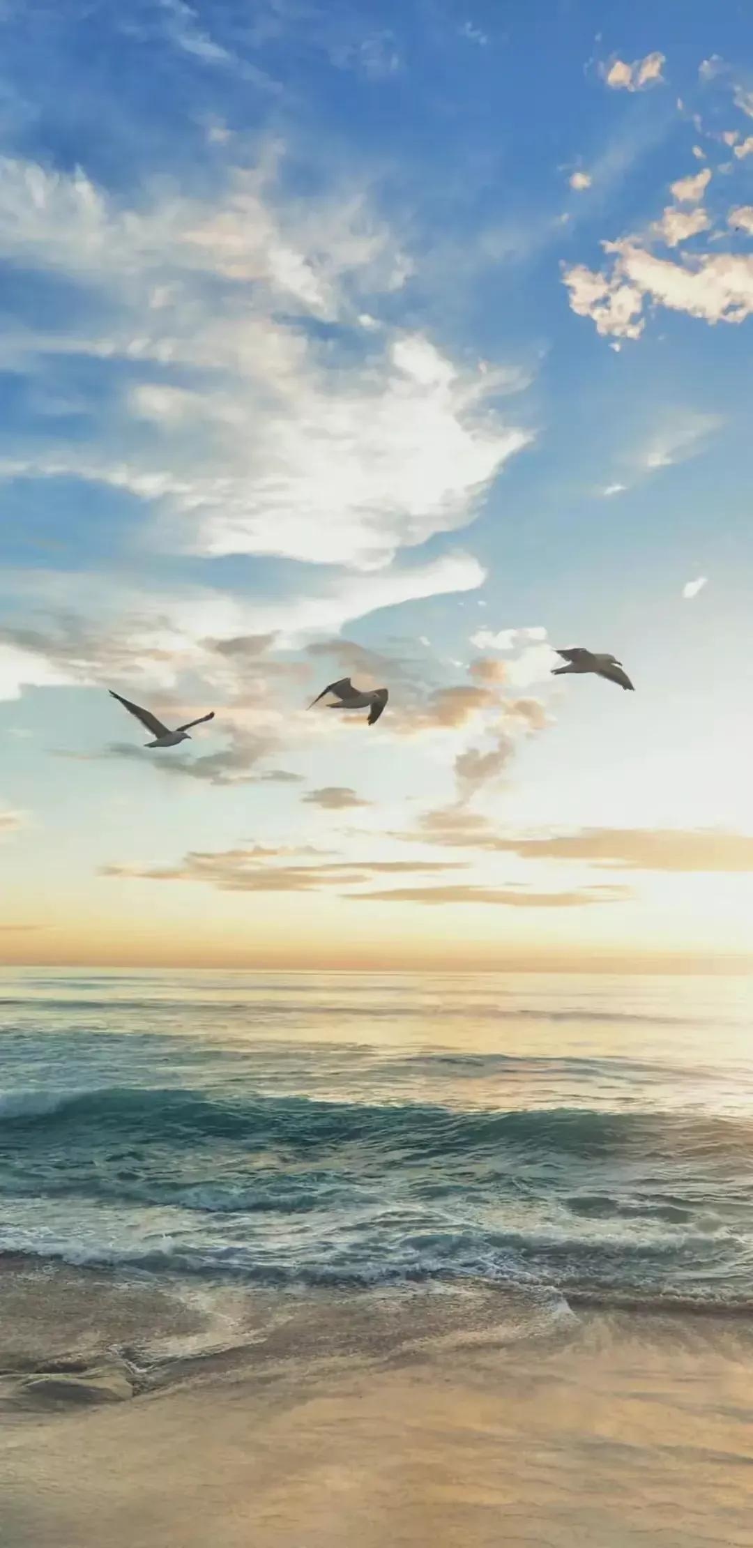 大海壁纸明亮,大海壁纸