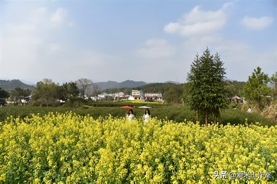 爱米科技,爱米科技抗衰怎么样