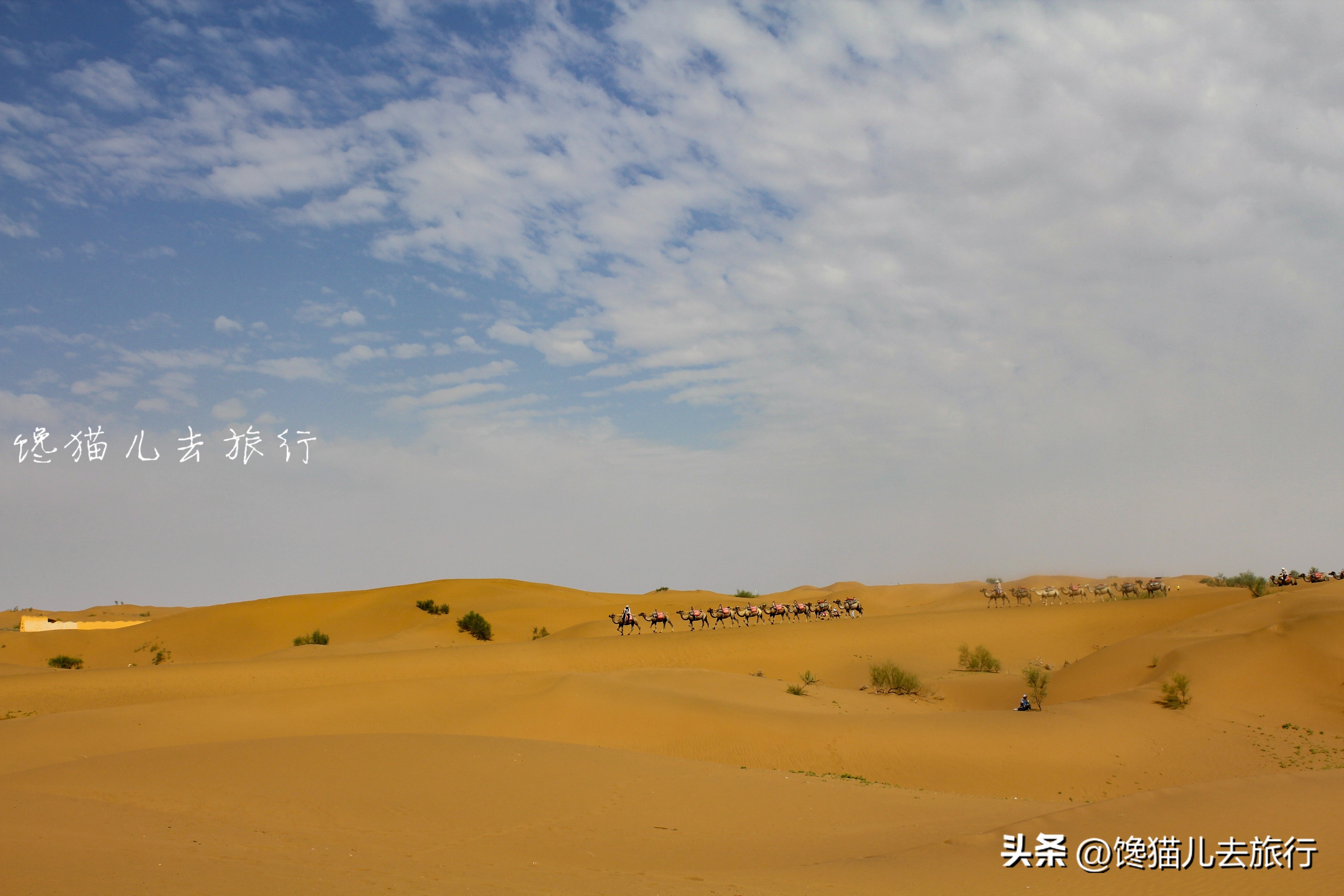 国庆节哪里去好玩一日游,国庆避开人山人海小众旅游地推荐