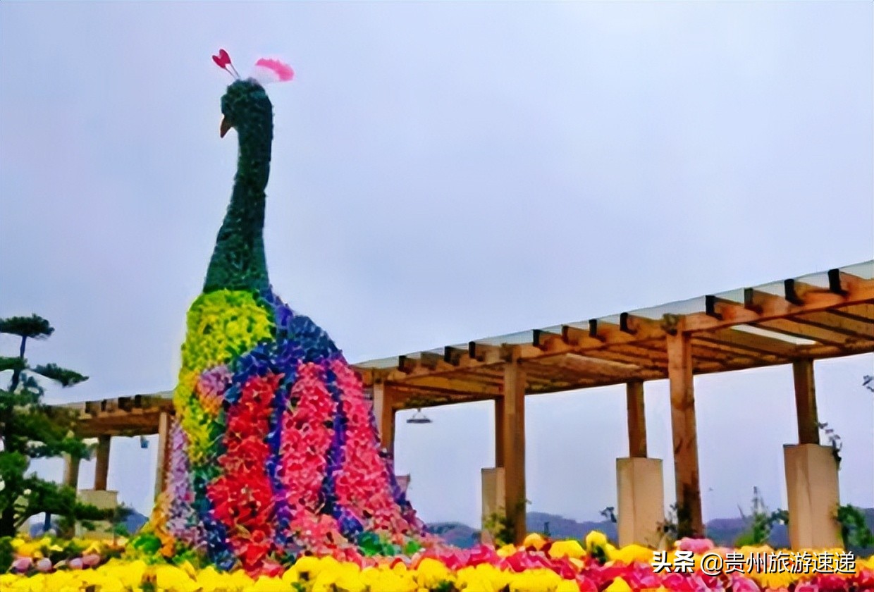 多彩贵州爽爽的贵阳避暑之都,贵阳免门票景区春节