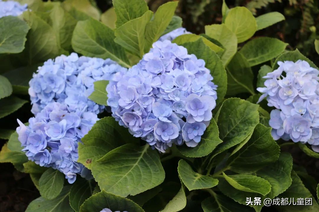 地铁3号线能到的美景地方,一号线地铁直达的风景