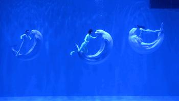 冰城夏都|母亲节带妈妈这样玩，送她一份特别的礼物！