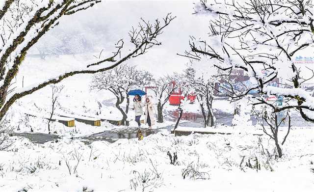 重庆今夏推出200余项文旅活动,重庆特色文旅