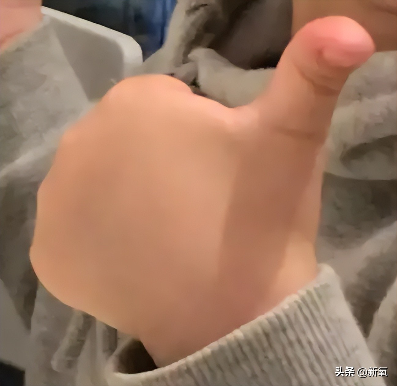 富豪千金妮可拉,富家千金妮可拉