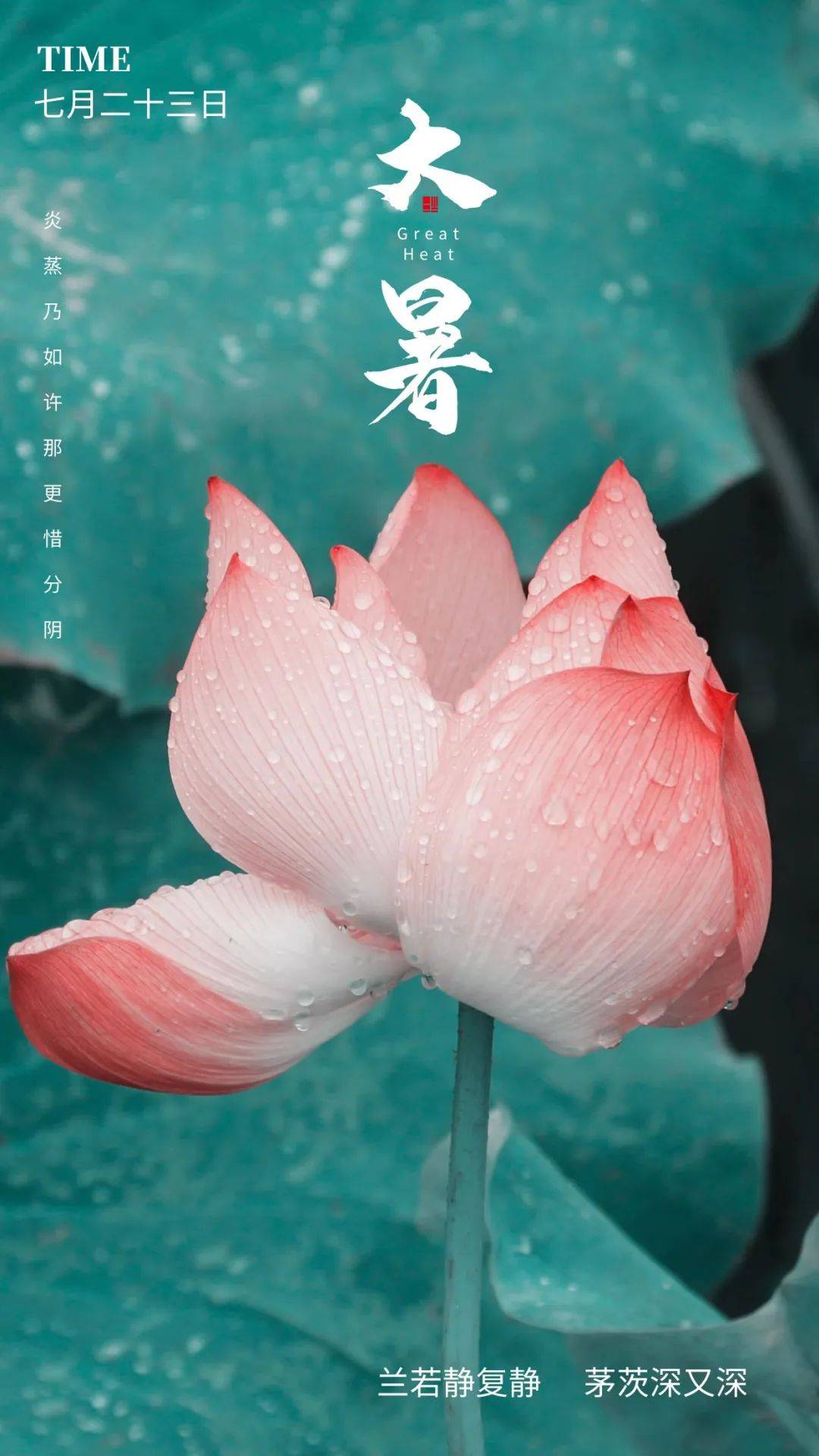 二十四节气小暑文案主题横图,大暑朋友圈清凉文案海报