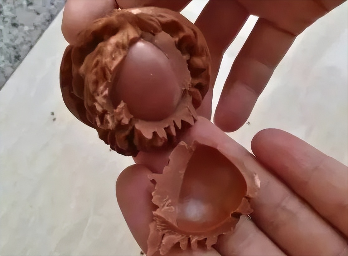 文玩圈里的怪现象,有真的可人家偏偏要买假的