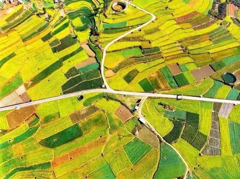 2022年春节云南免费景区,云南春节最合适的景点是哪些